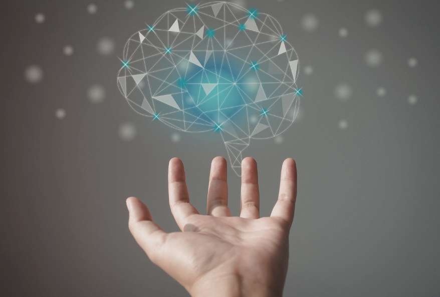 Digital Brain (illustration)