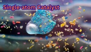 Single atom catalysts