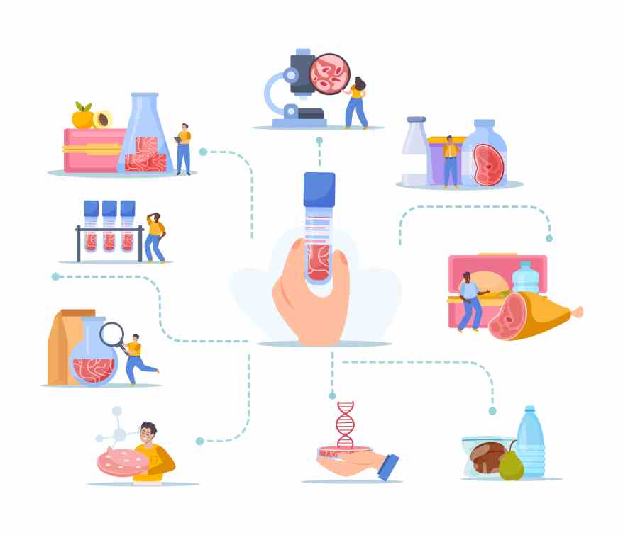The Drug Discovery Process