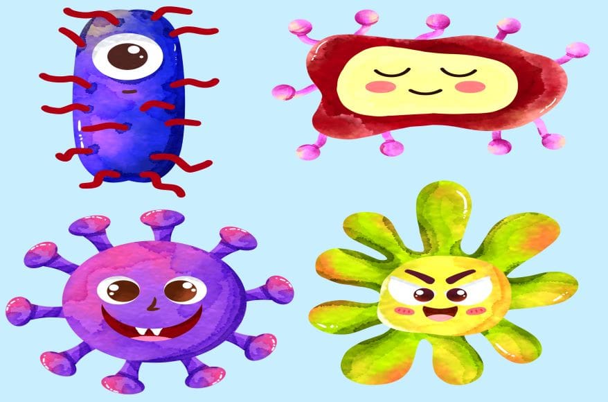 Beneficial Bacteria