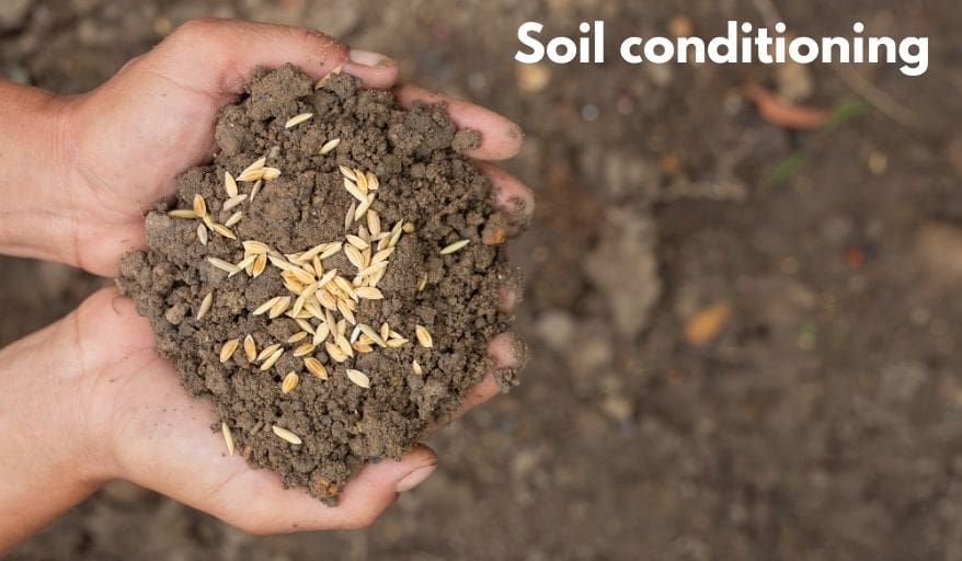 Soil Conditioning by Invasive Plants