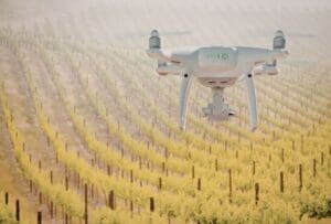 AI palm tree detection using UAV deep learning