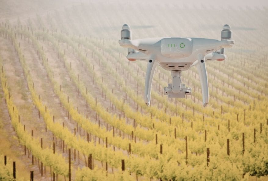 AI palm tree detection using UAV deep learning