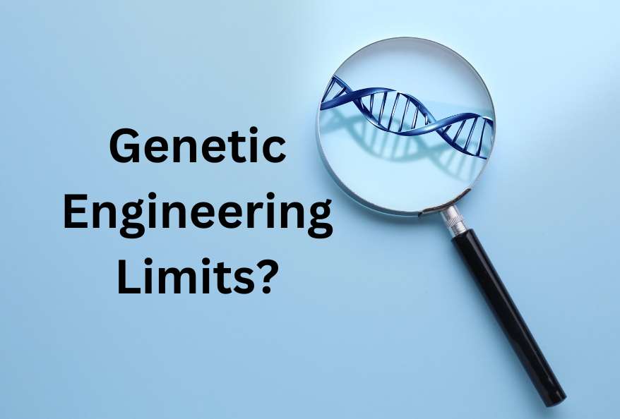 Genetic Engineering Limits