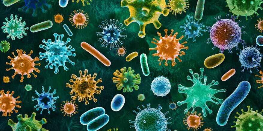 Why Microbes Are Essential for Human Life