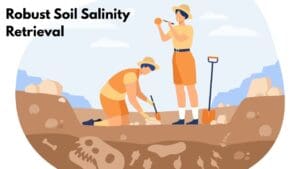 Robust Soil Salinity Retrieval