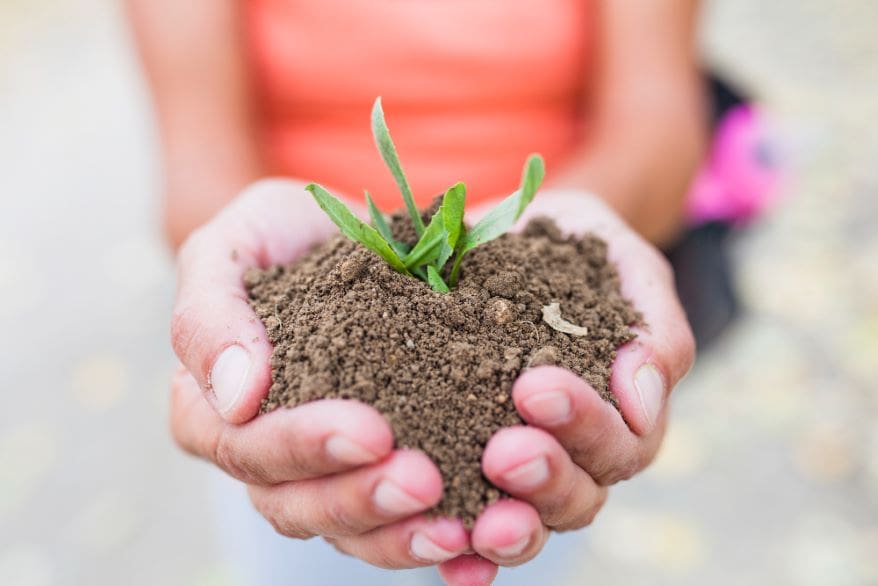 Soil Organic Carbon