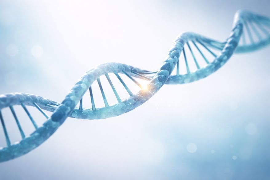 Close-up DNA helix with a glowing edit point representing down syndrome gene editing using CRISPR technology.