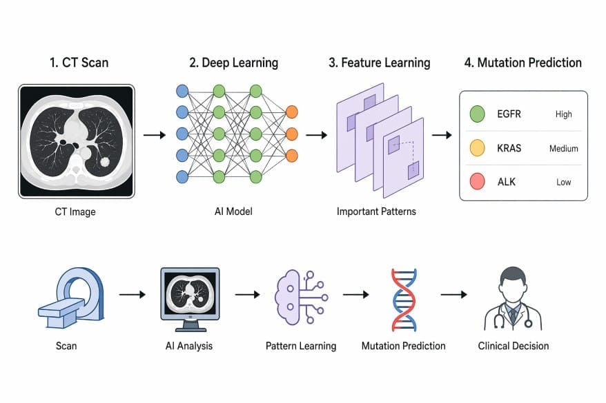 Diagram showing CT scan, AI model, and mutation prediction in Lung Cancer detection