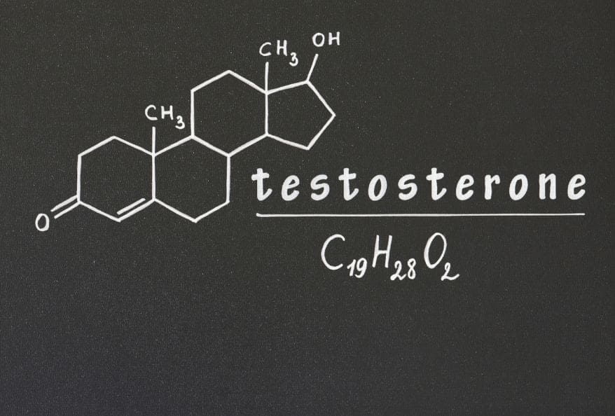 Testosterone structure