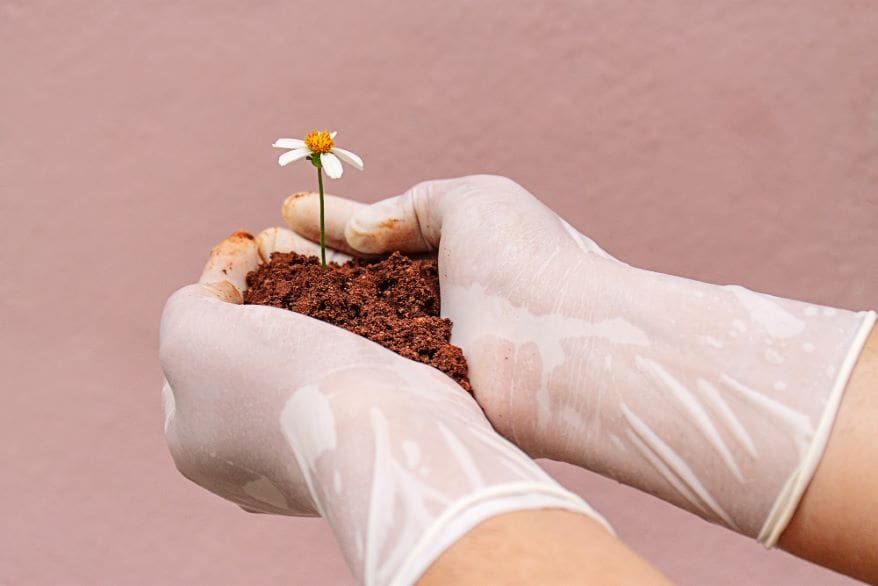 What is the soil microbiome