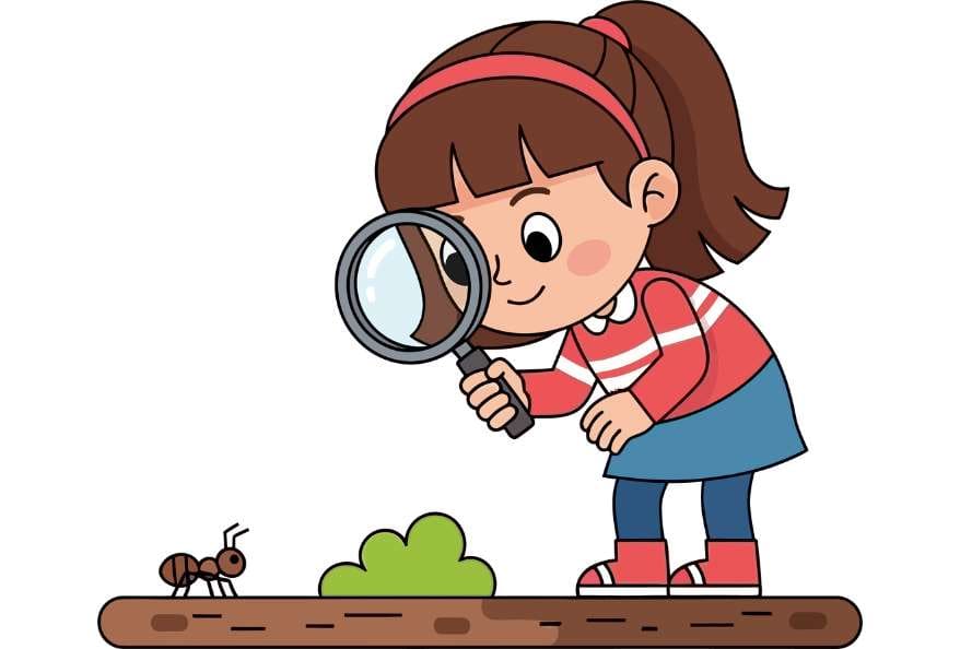 Curiosity - STEM Language of Human Energy