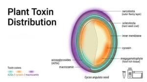 Plant Toxin Distribution