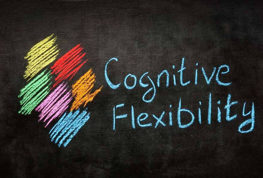 cognitive flexibility