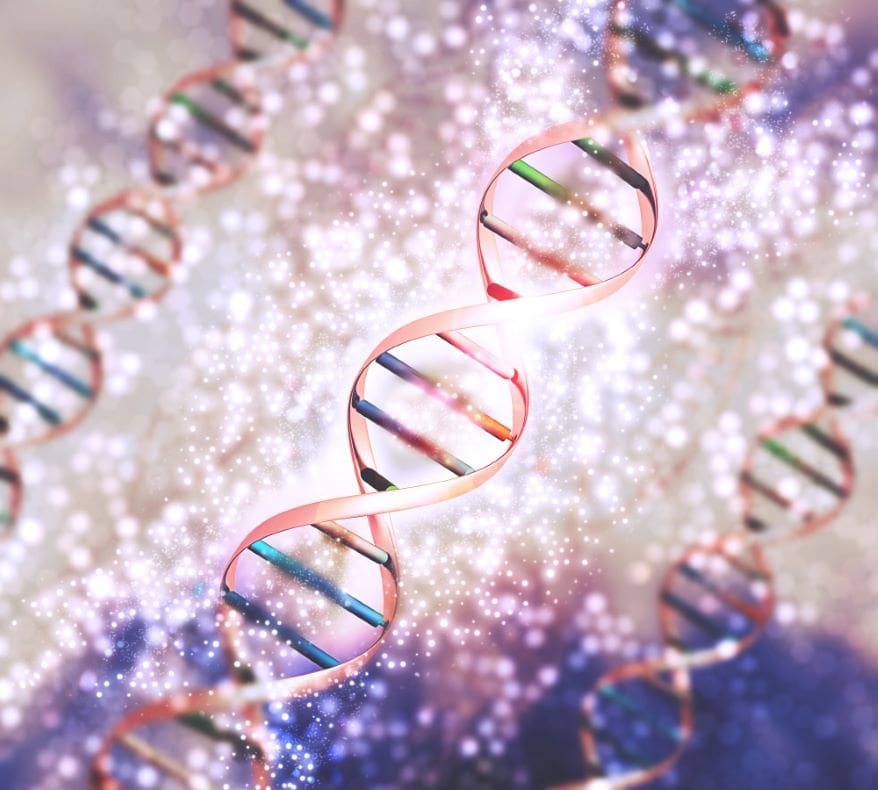 Microsporidia drug resistance