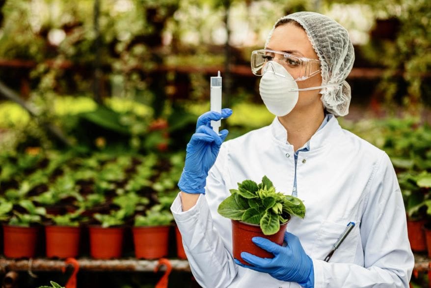 Biotechnology in Horticulture