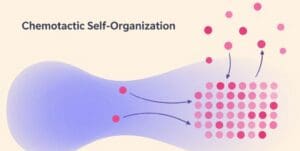 Chemotactic Self-Organization