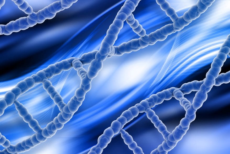 Histone H3 Lysine Mutations
