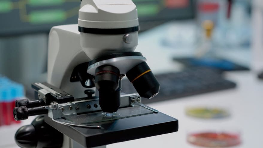 Real-time autofocus microscopy