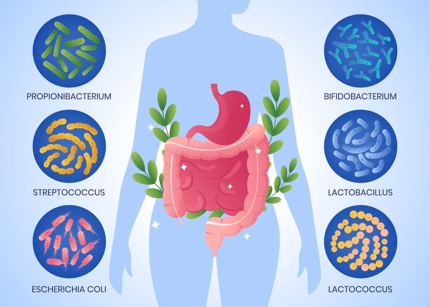 Gut microbiome testing