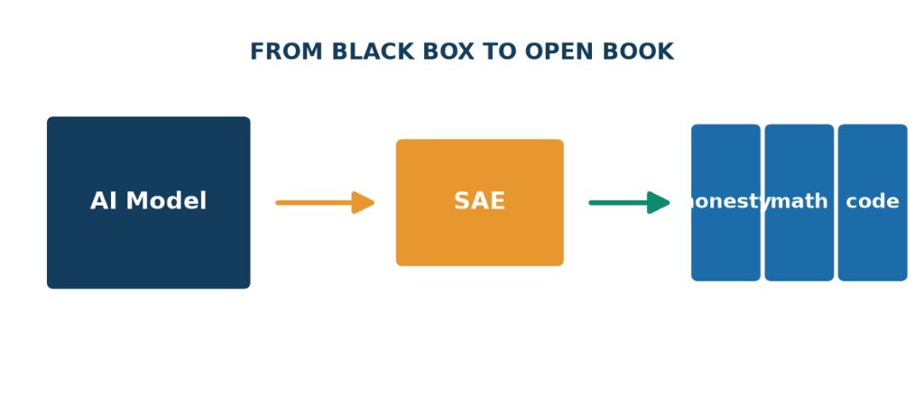 AI Model from black box to open book