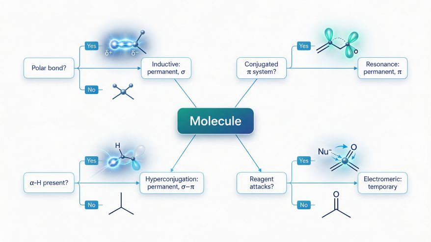 Electronic displacement effects show how electron movement