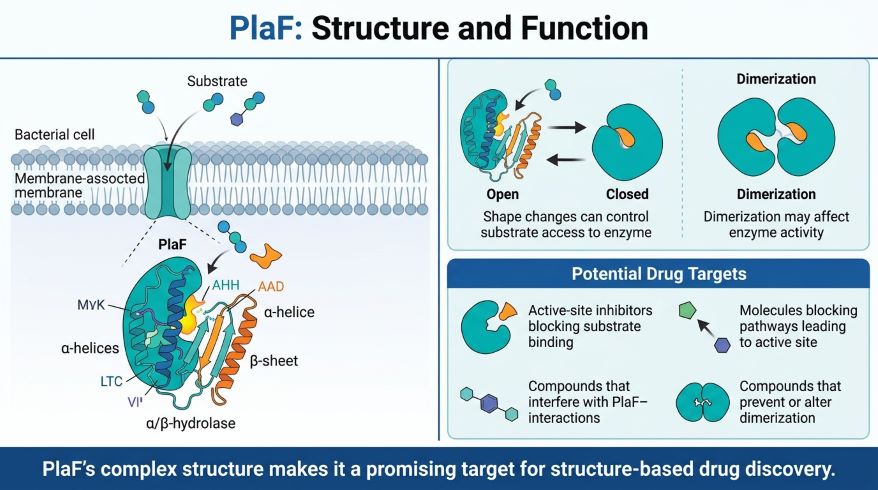 Structure-based-drug-discovery